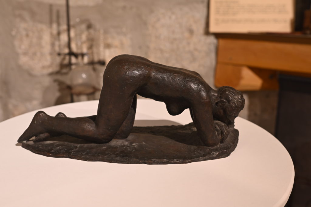 DSC 1555 1024x683 Expositions (passées et présentes)